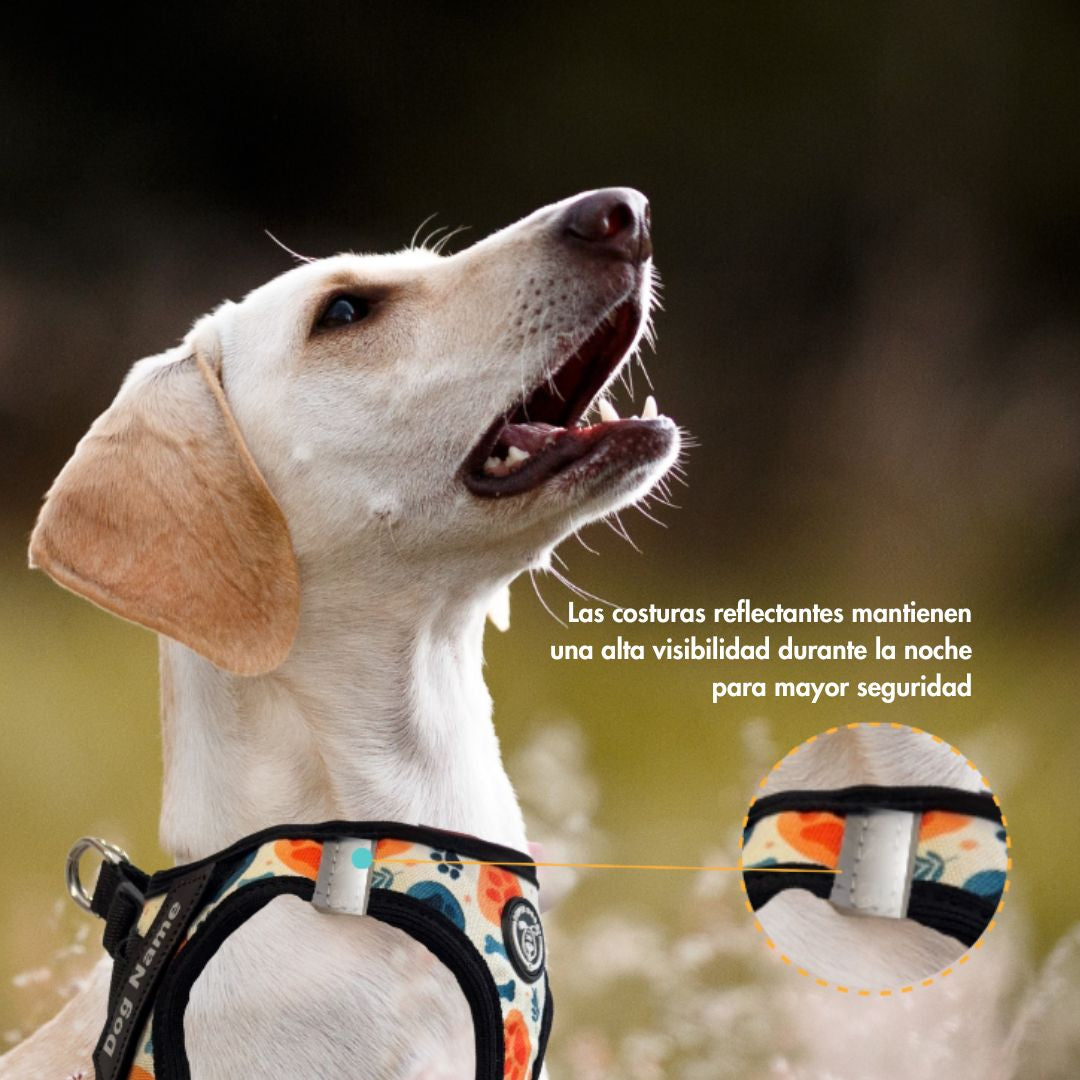 perro con arnés body hecho a medida bones and paws