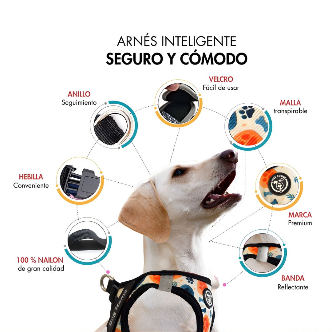 perro con arnés body hecho a medida bones and paws