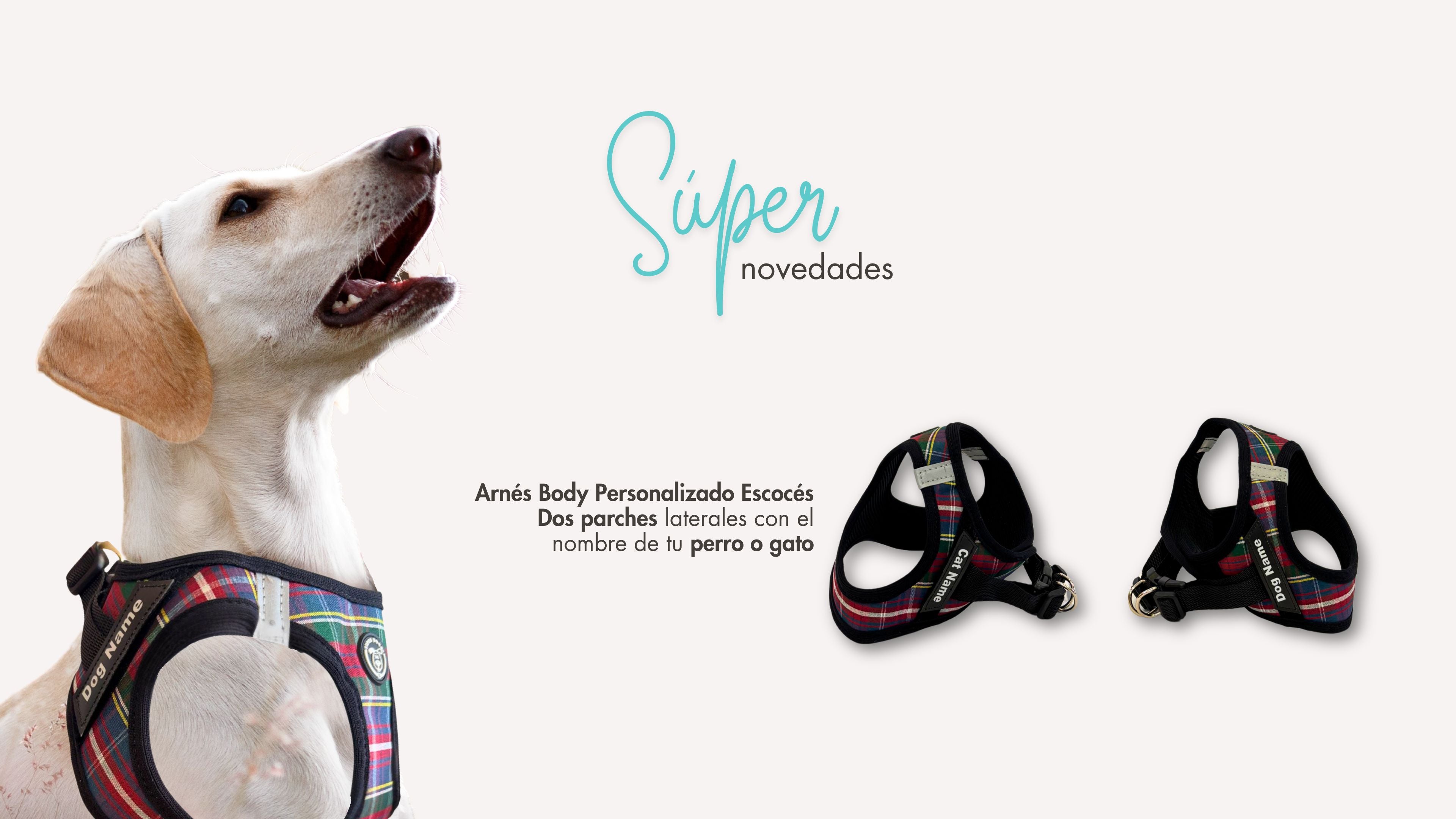 Súper novedad en Super Doggy: arnés Body Personalizado Escocés