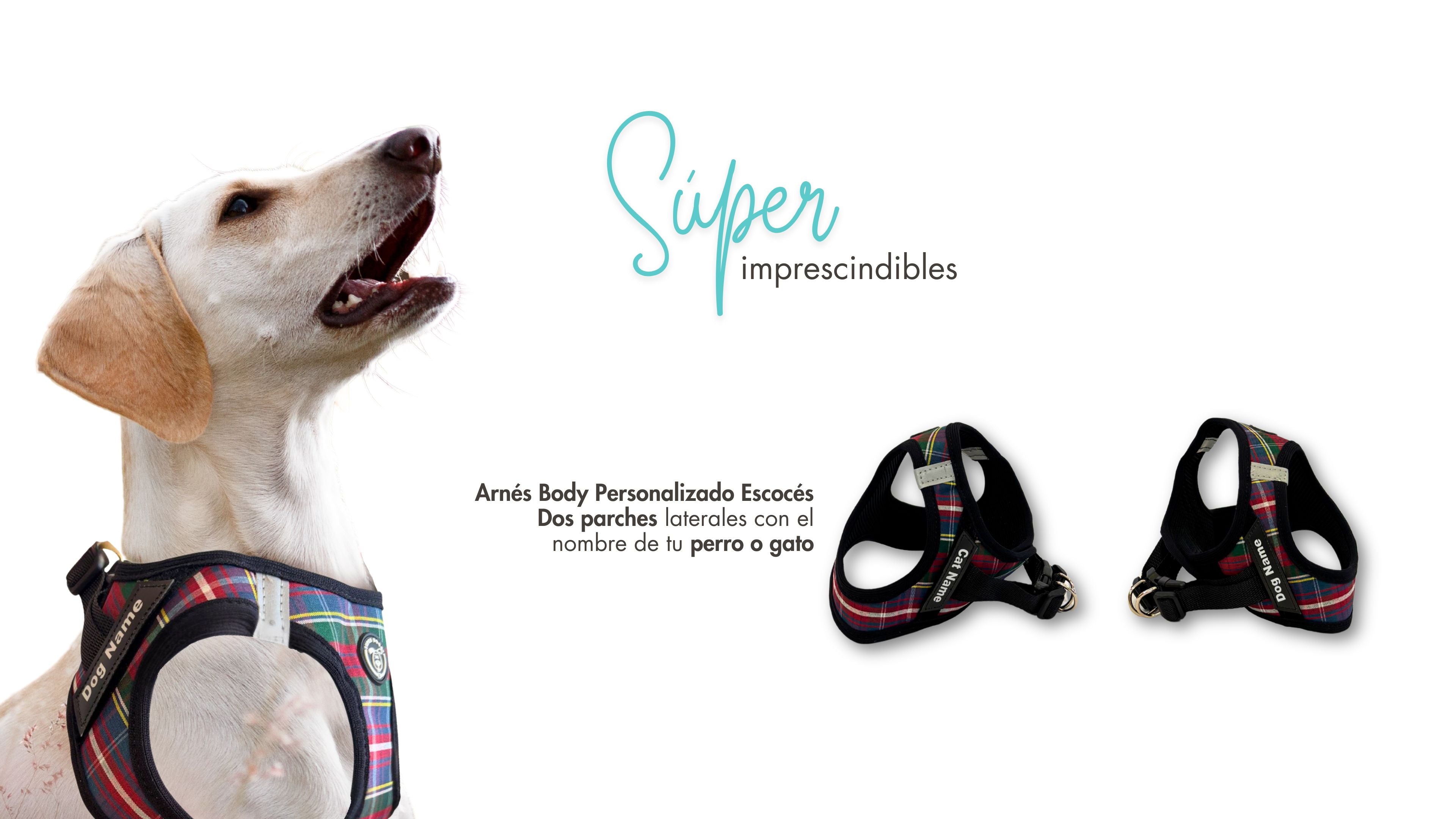 Mira este precioso Arnés Body Personalizado Escocés. Súper novedad en Super Doggy