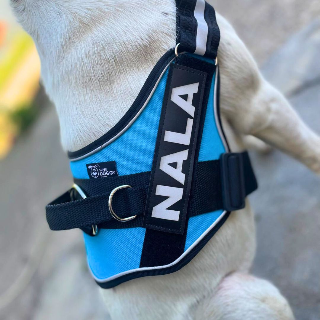 Compra un precioso Arnés para perro Pro Personalizado de Super Doggy como éste, accesorios y arneses personalizados para perros