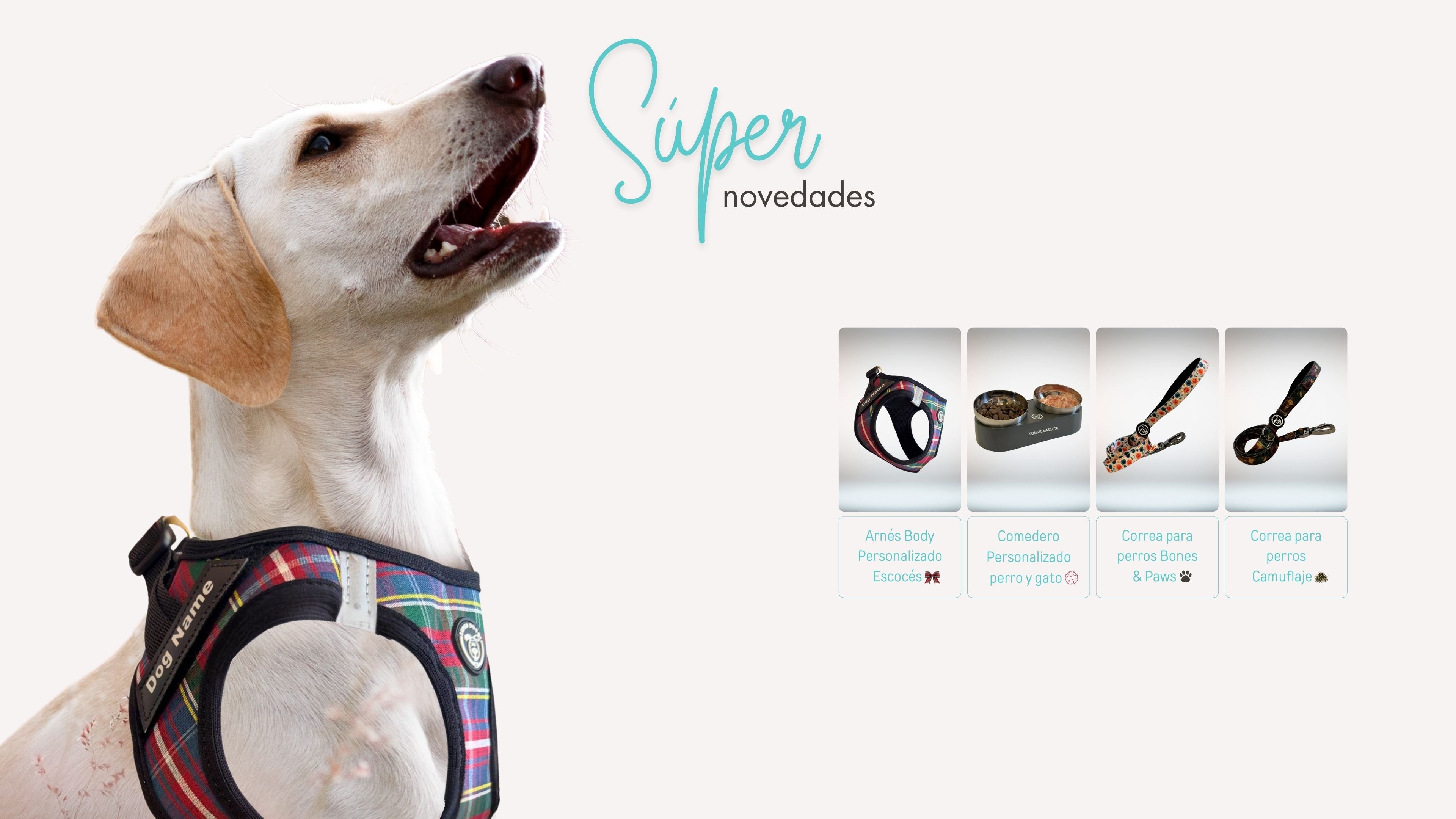 Súper novedades en Super Doggy: arnés Body Personalizado Escocés