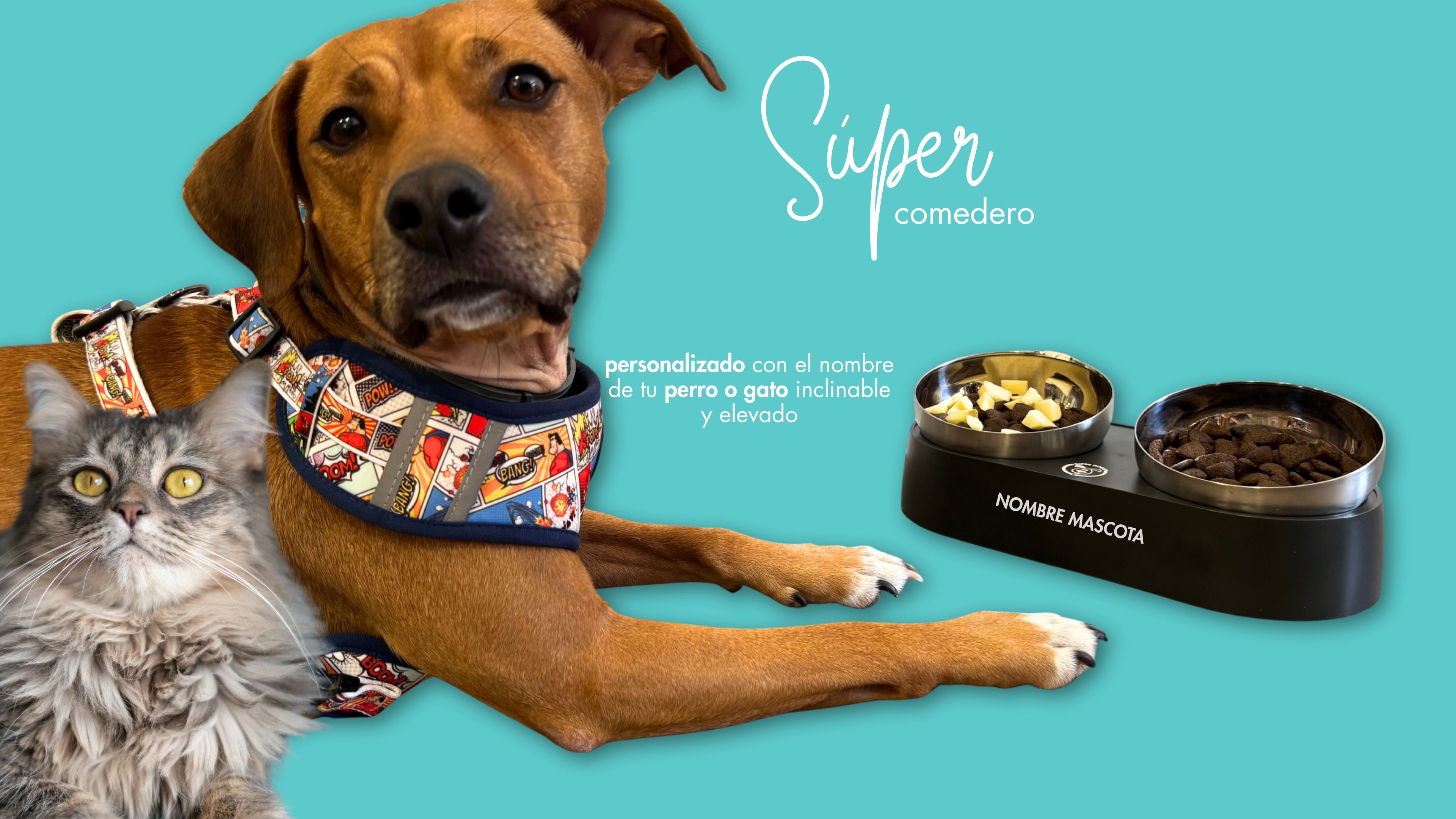 Compra el comedero para tu perro o gato, personalizado con su nombre, en superdoggy.es
