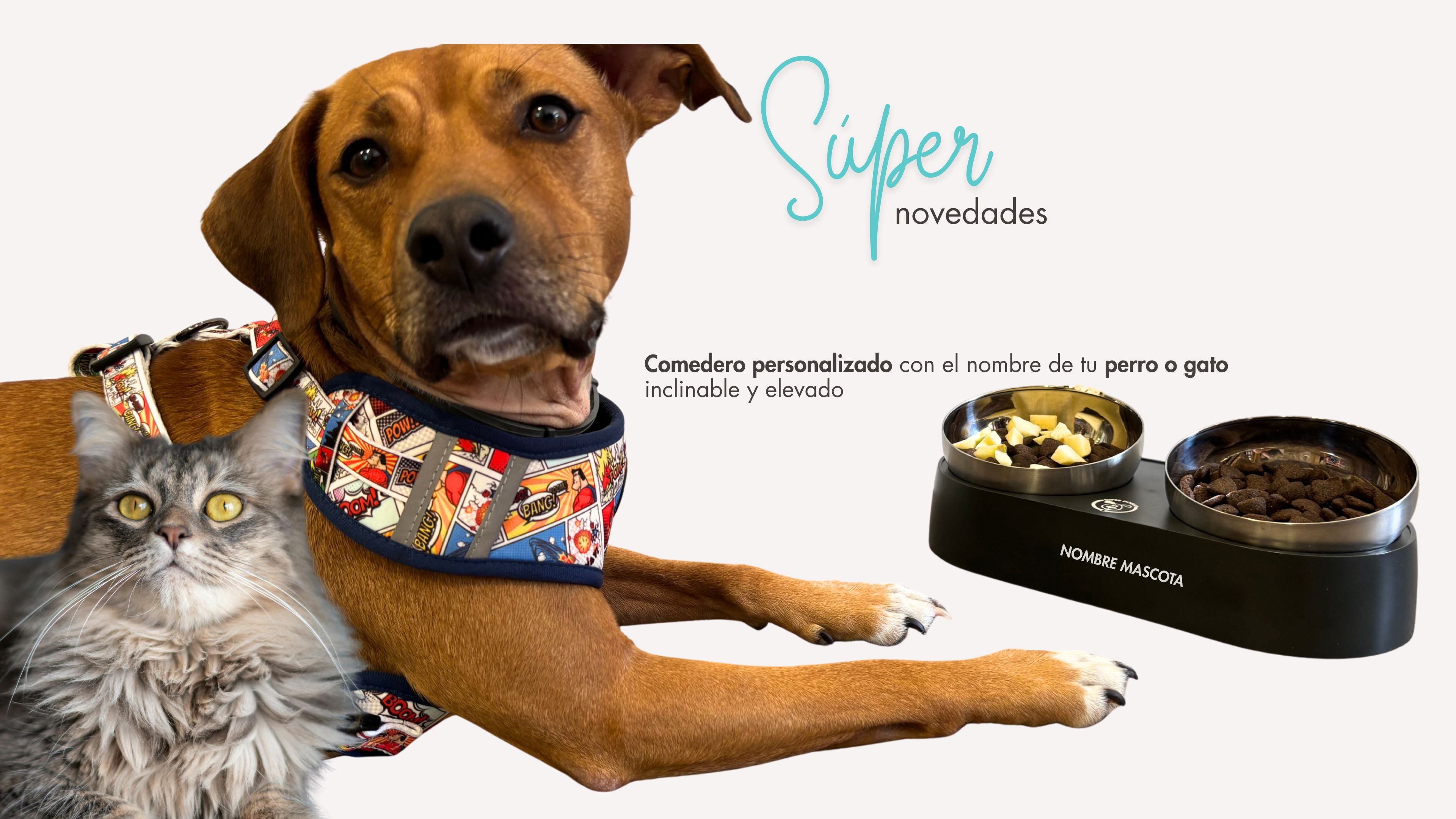 Compra el comedero para tu perro o gato, personalizado con su nombre, en superdoggy.es