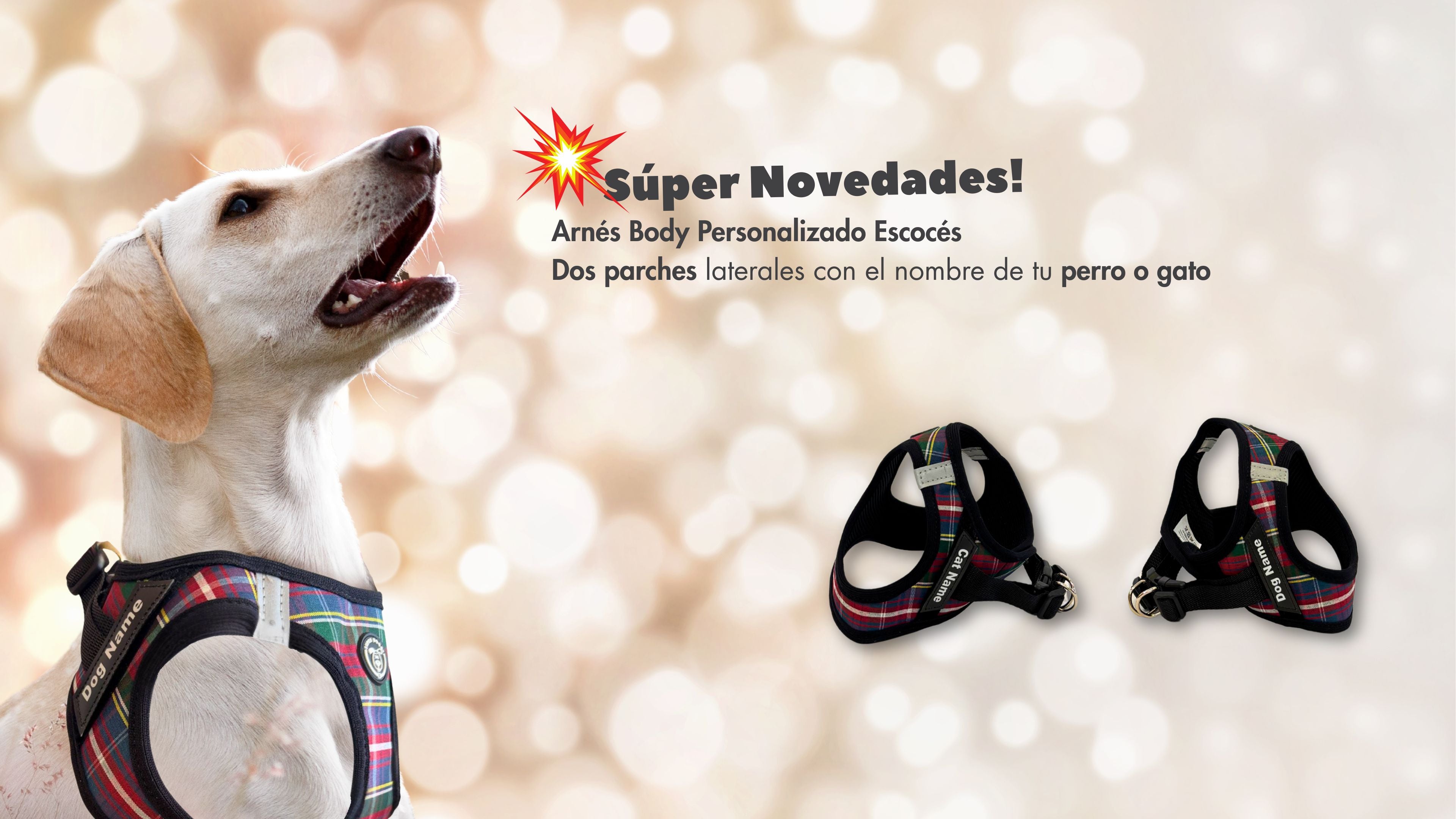 Súper novedad en Super Doggy: arnés Boy Personalizado Escocés