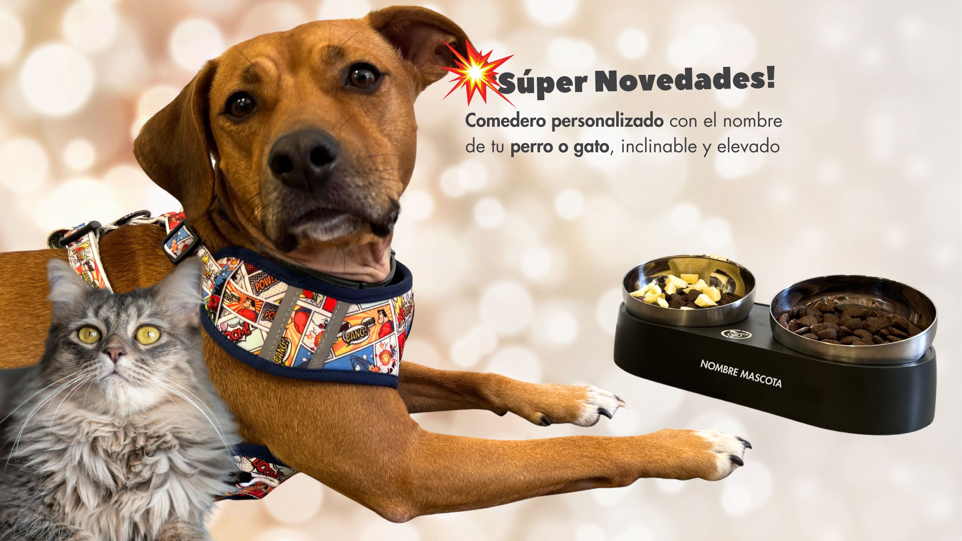 Compra el comedero para tu perro o gato, personalizado con su nombre, en superdoggy.es