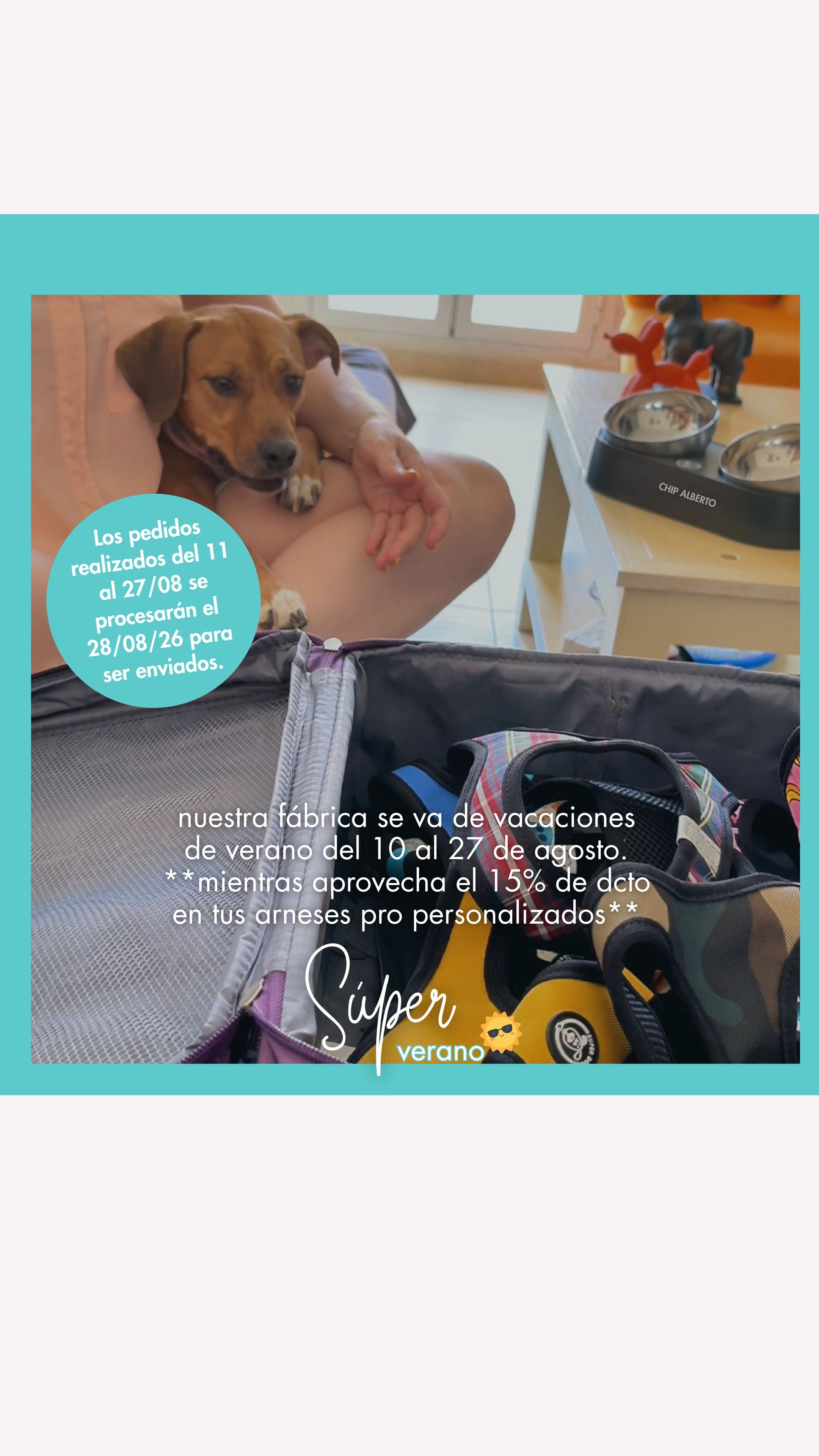 éste es el horario de verano 2026 de la fábrica que confecciona los más hermosos diseños con la calidad de lo hecho en España de Super Doggy, accesorios y arnés personalizados para perros
