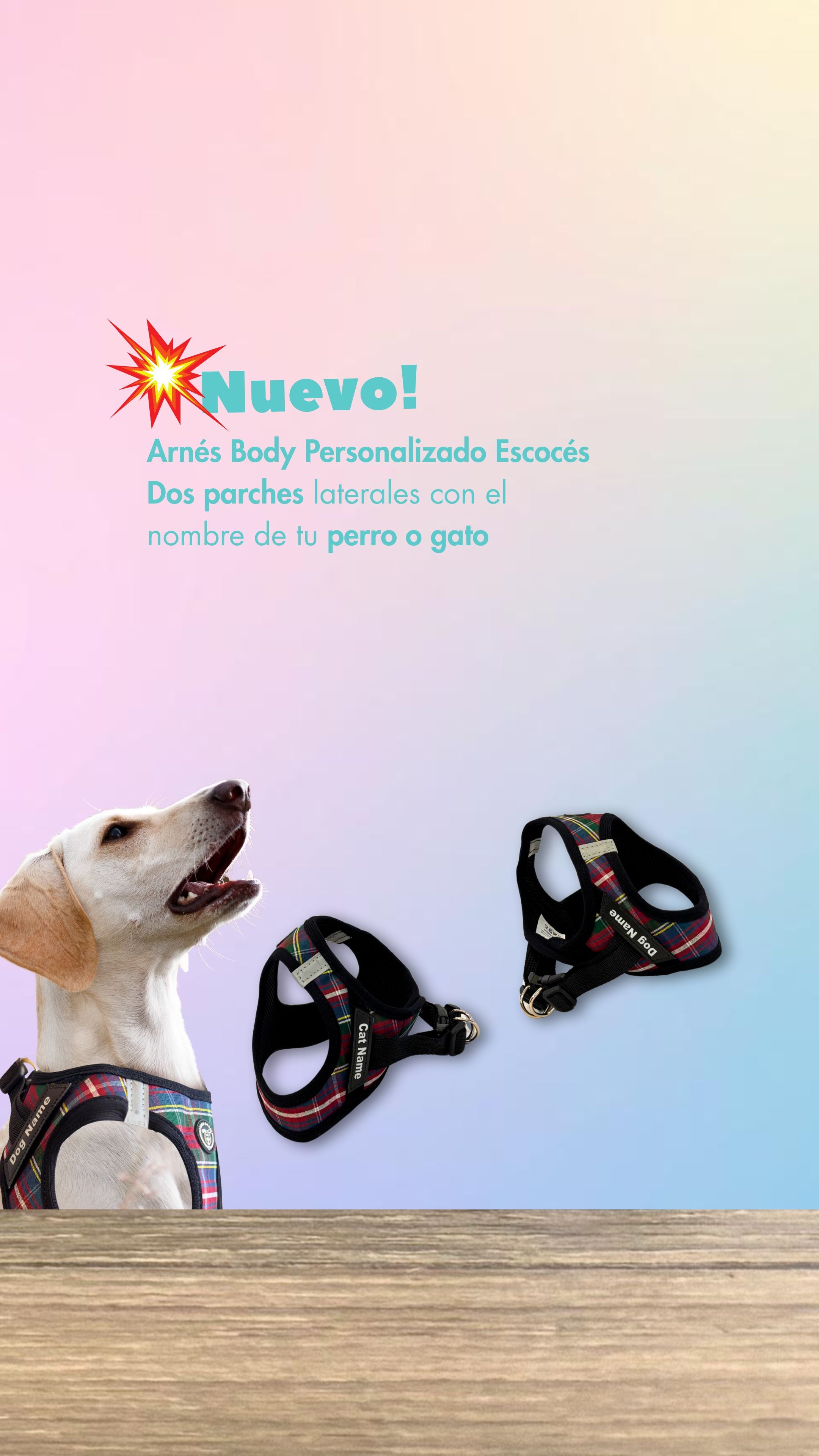 Personaliza el Arnés Body escocés con el nombre de tu perro o gato en Super Doggy