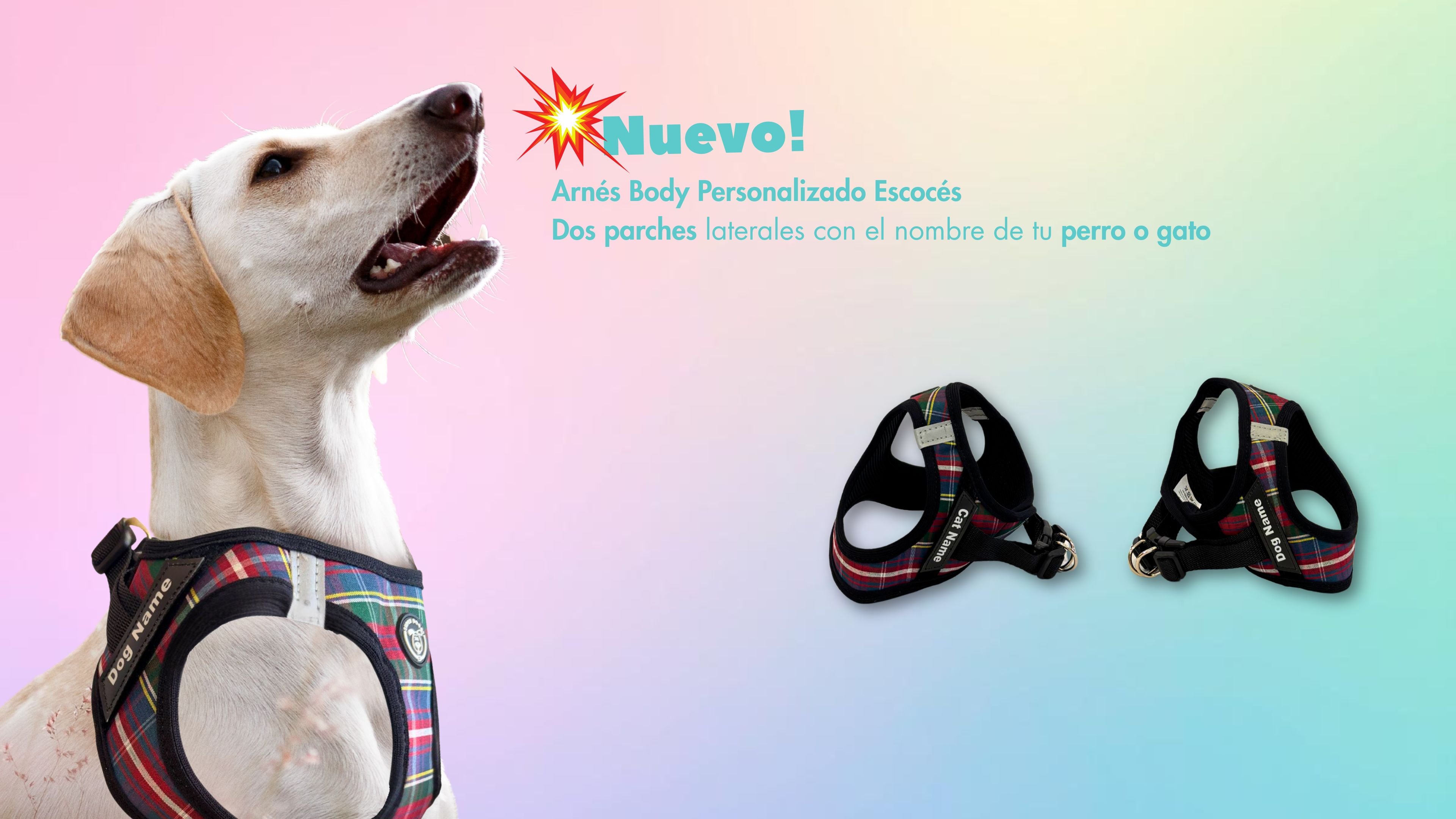 Arnés Body escocés, personalizado con el nombre de tu perro o gato en Super Doggy