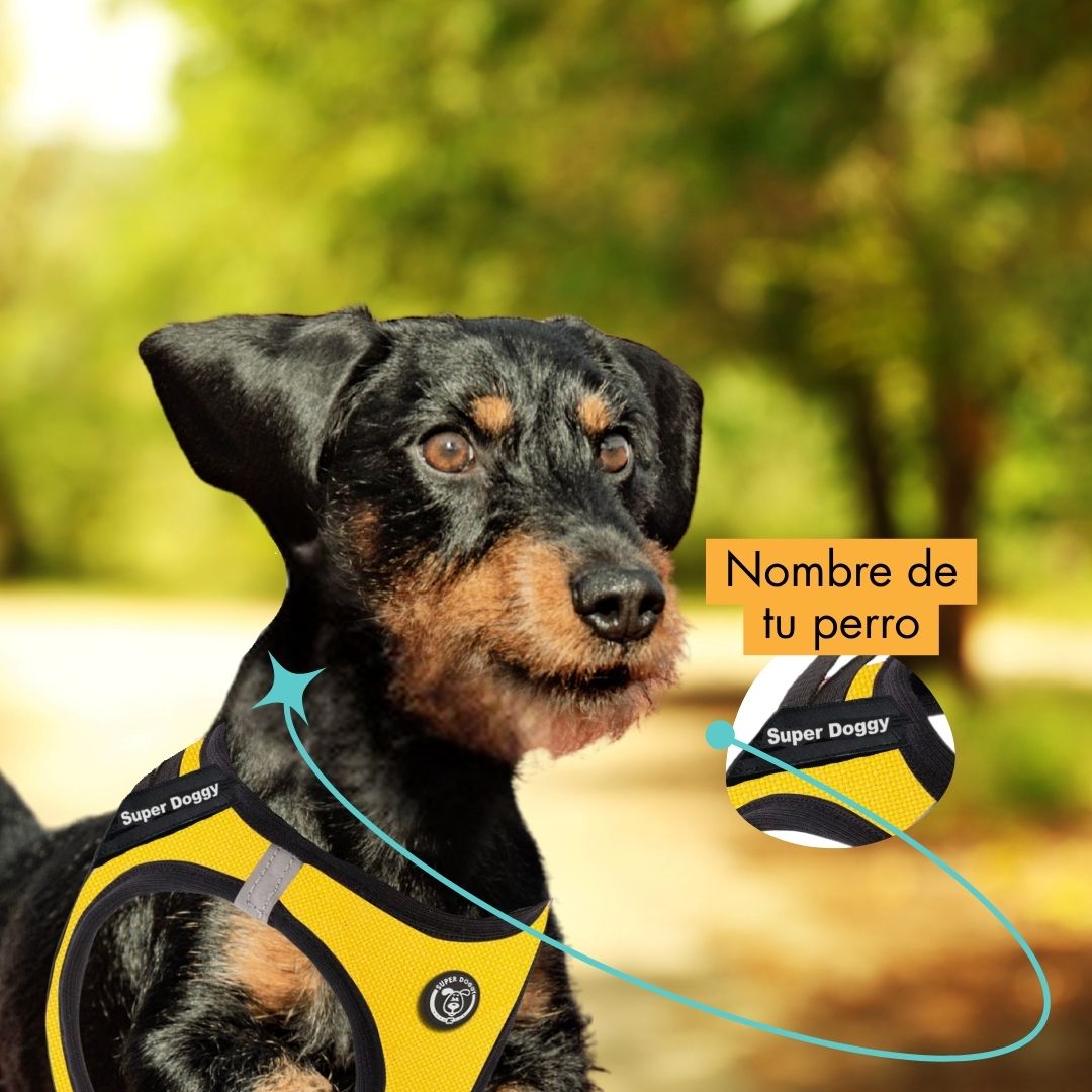 arneses, body, amarillo, yellow, arnes, personalizado, perros, gatos, gato, accesorios, paseos, perro, super doggy