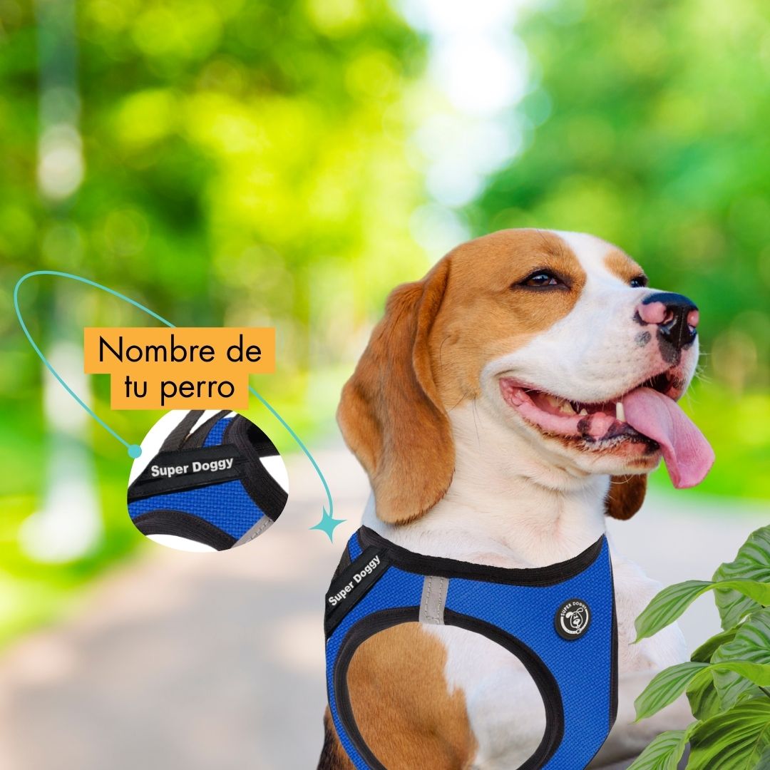 arneses, body, azul, blue, arnes, personalizado, perros, gatos, gato, accesorios, paseos, perro, super doggy