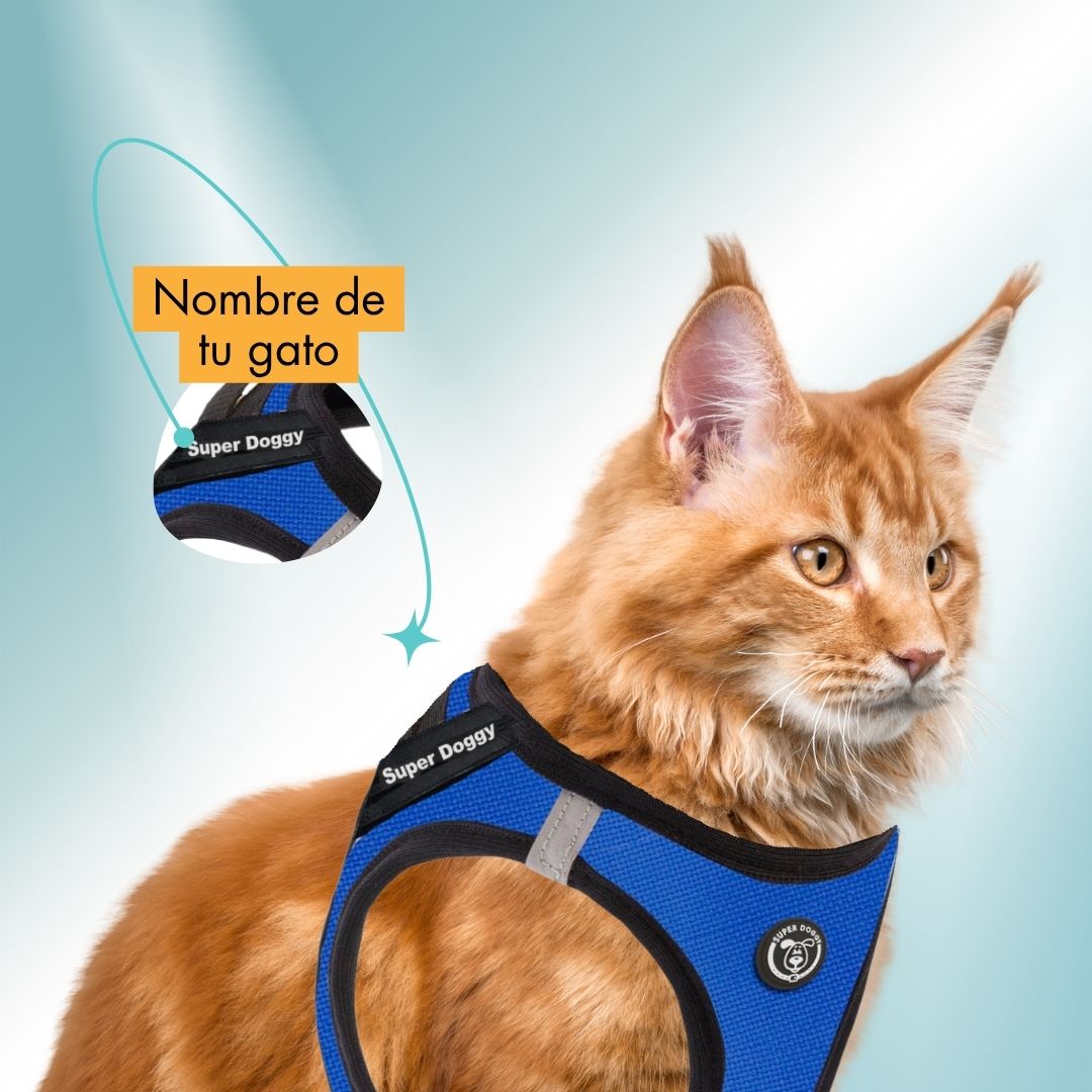 arneses, body, azul, blue, arnes, personalizado, perros, gatos, gato, accesorios, paseos, perro, super doggy