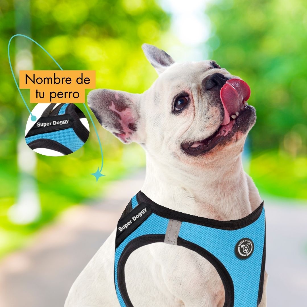 arneses, body, azul, turquesa, arnes, personalizado, perros, gatos, gato, accesorios, paseos, perro, super doggy
