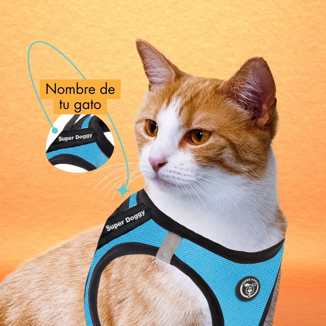 arneses, body, azul, turquesa, arnes, personalizado, perros, gatos, gato, accesorios, paseos, perro, super doggy
