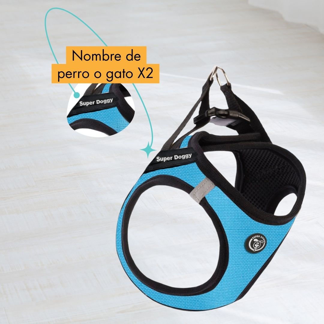arneses, body, azul, turquesa, arnes, personalizado, perros, gatos, gato, accesorios, paseos, perro, super doggy
