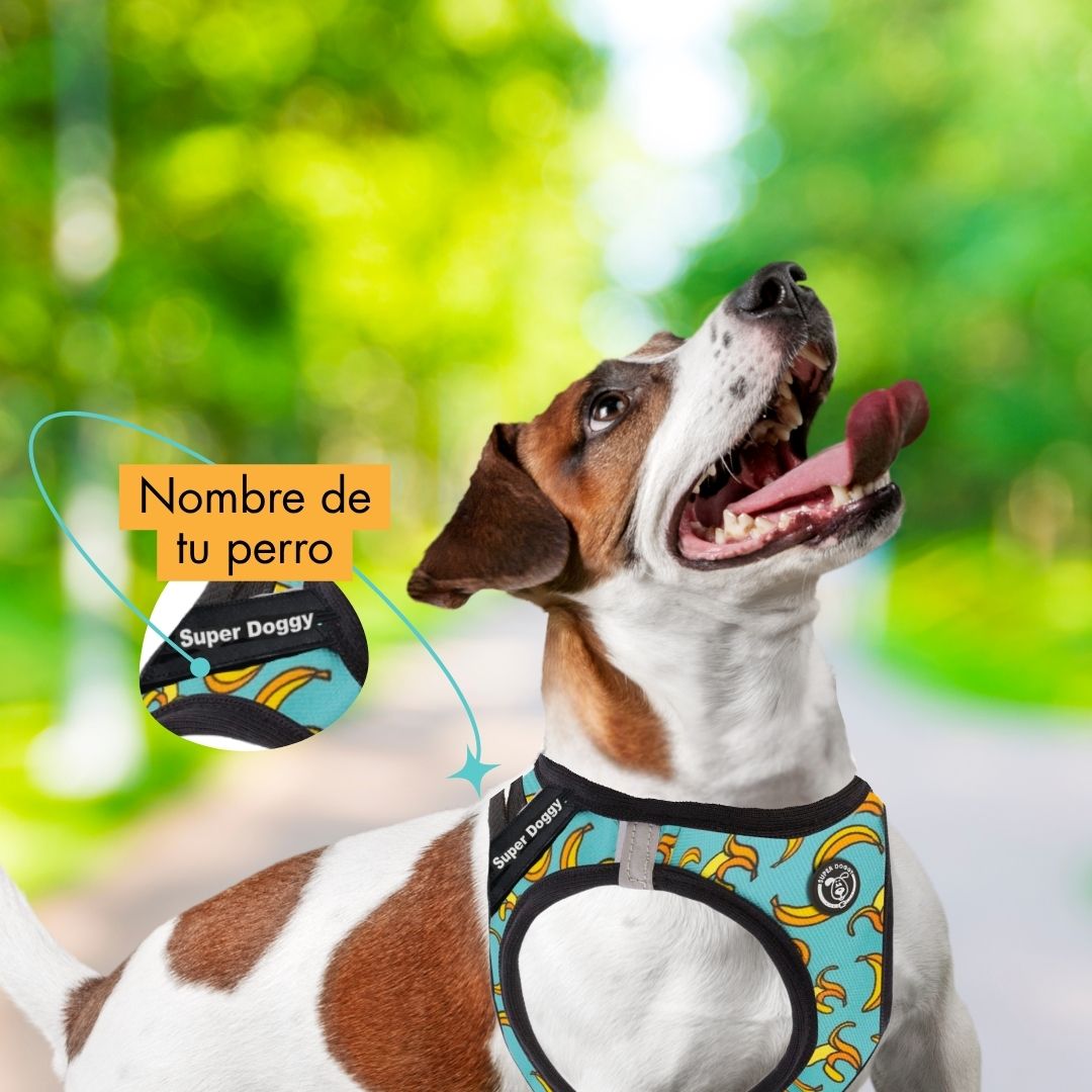 arneses, body, blue, bananas, arnes, personalizado, perros, gatos, gato, accesorios, paseos, perro, super doggy