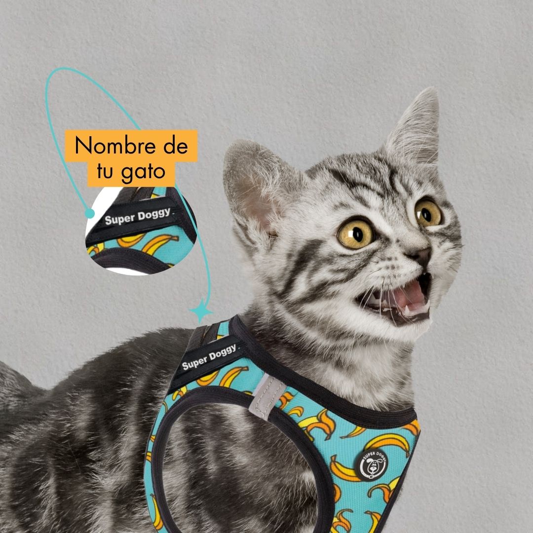 arneses, body, blue, bananas, arnes, personalizado, perros, gatos, gato, accesorios, paseos, perro, super doggy