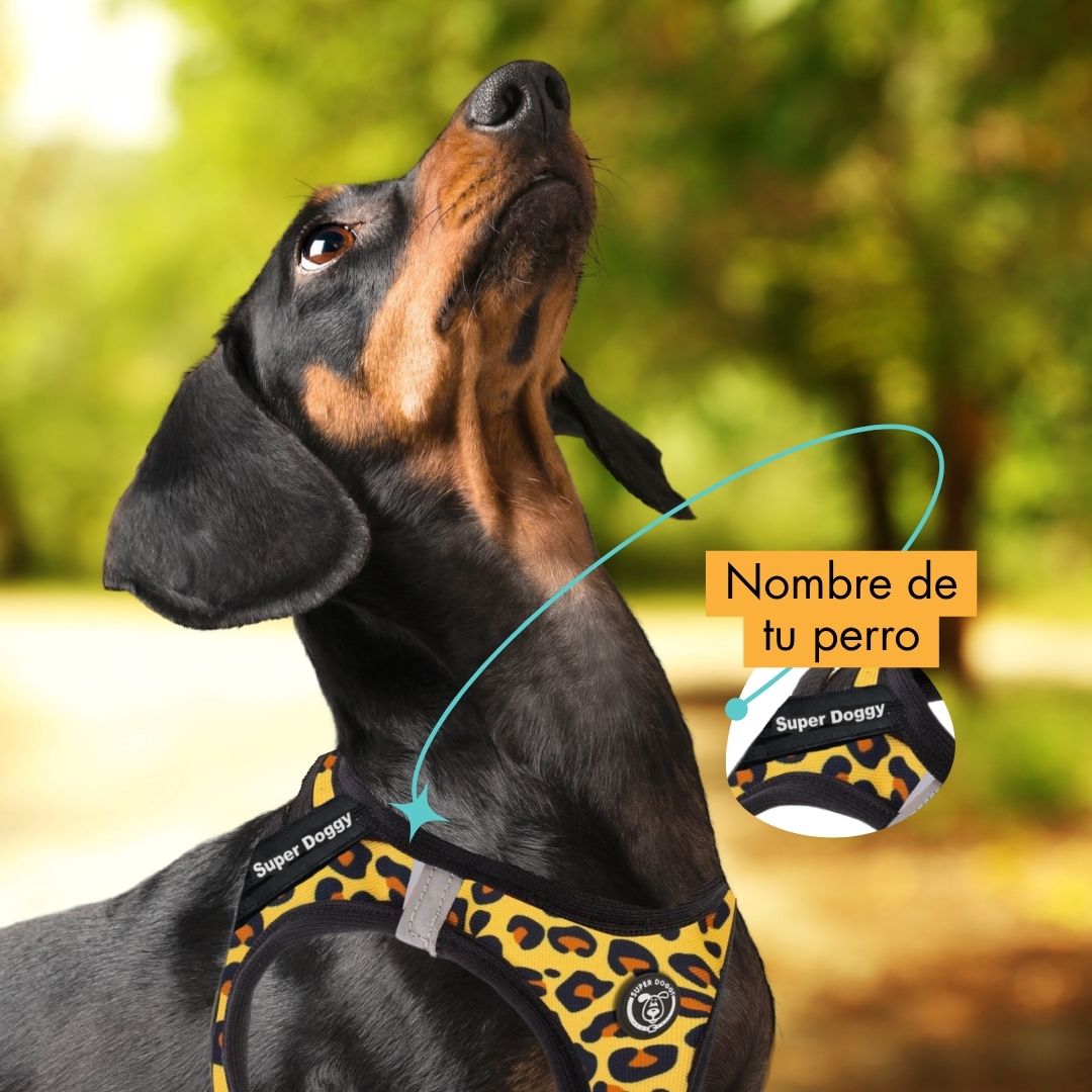 arneses, body, leopard, leopardo, arnes, personalizado, perros, gatos, gato, accesorios, paseos, perro, super doggy