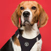 arneses, body, negro, black, arnes, personalizado, perros, accesorios, paseos, perro, super doggy