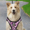 arneses, body, pink, leopard, leopardo, rosa, rosado, arnes, personalizado, perros, accesorios, paseos, perro, super doggy