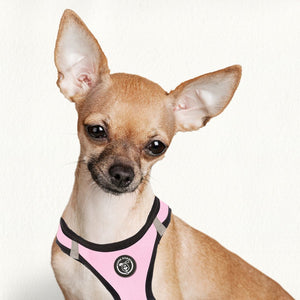arneses, body, pink, rosa, rosado, arnes, personalizado, perros, accesorios, paseos, perro, super doggy