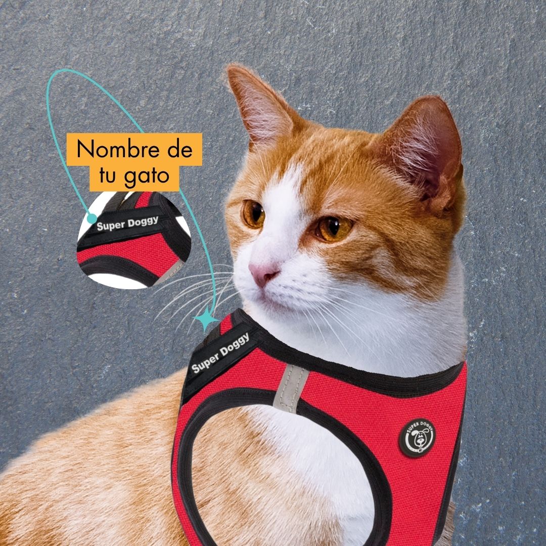 arneses, body, rojo, red, arnes, personalizado, perros, gatos, gato, accesorios, paseos, perro, super doggy