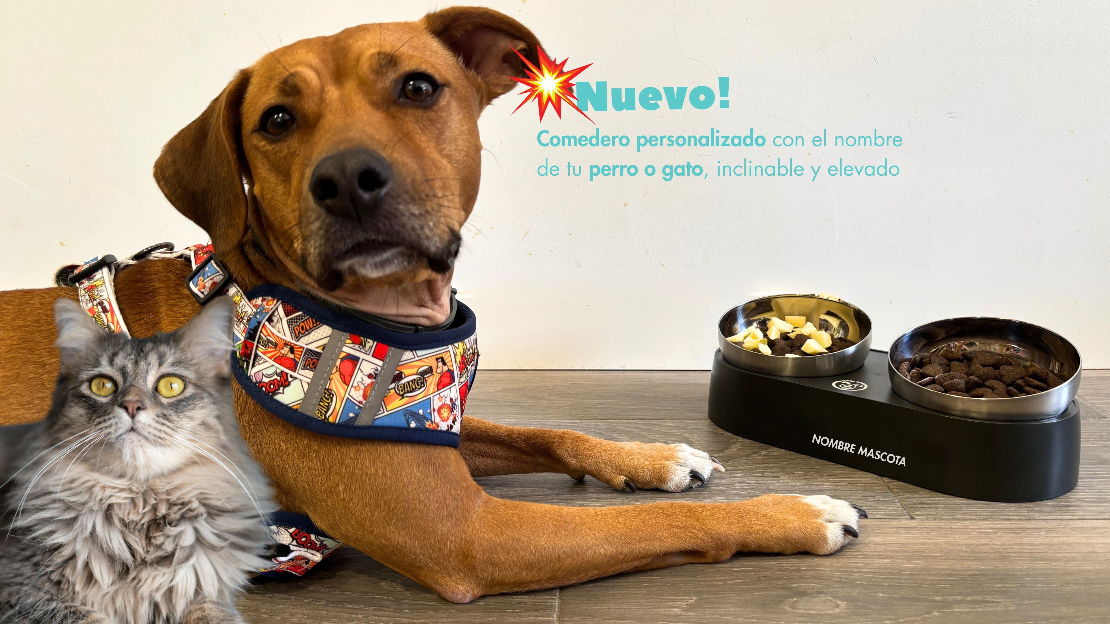 comedero personalizado con el nombre de tu perro o gato en Super Doggy