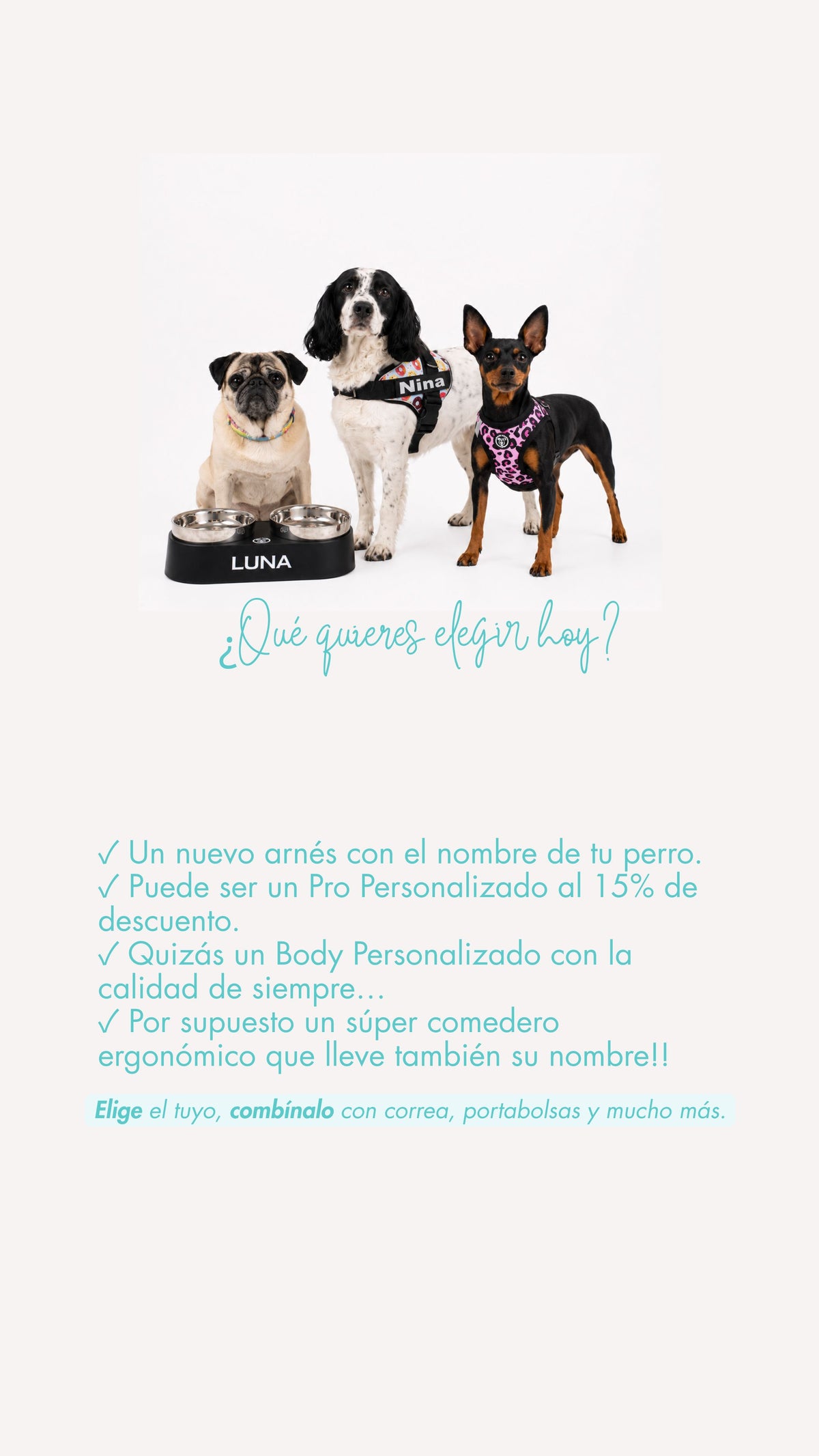 Los mejores accesorios personalizados para perros, fabricados en España de venta en Super Doggy