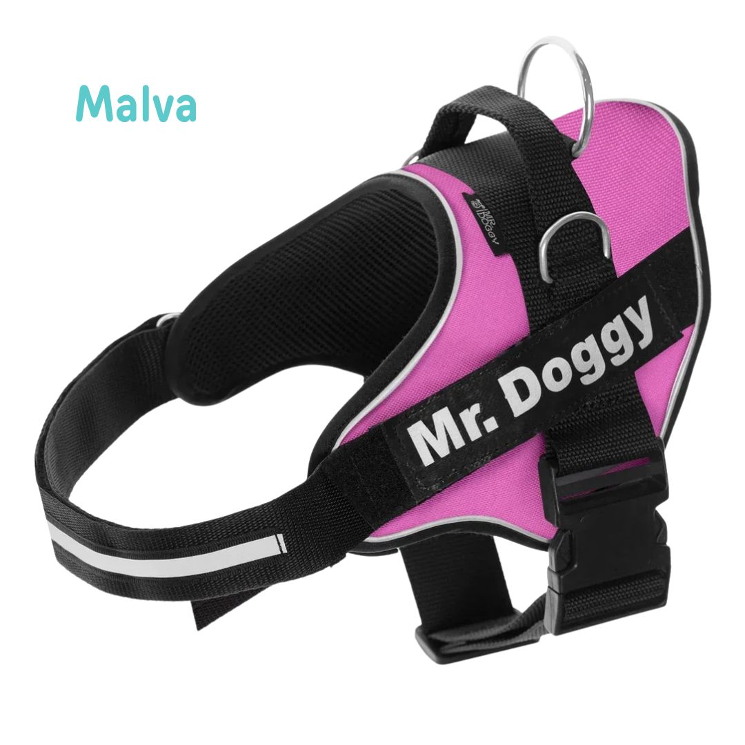 personaliza el Arnés Pro Malva de tu perro con su nombre