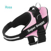 personaliza el Arnés Pro Rosa de tu perro con su nombre