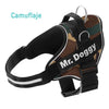 personaliza el Arnés Pro Camuflaje de tu perro con su nombre