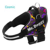 personaliza el Arnés Pro Cosmic de tu perro con su nombre