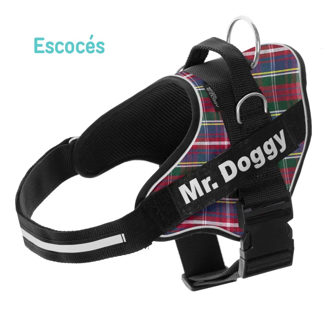personaliza el Arnés Pro Escocés de tu perro con su nombre