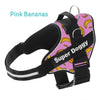 personaliza el Arnés Pro Pink Bananas de tu perro con su nombre