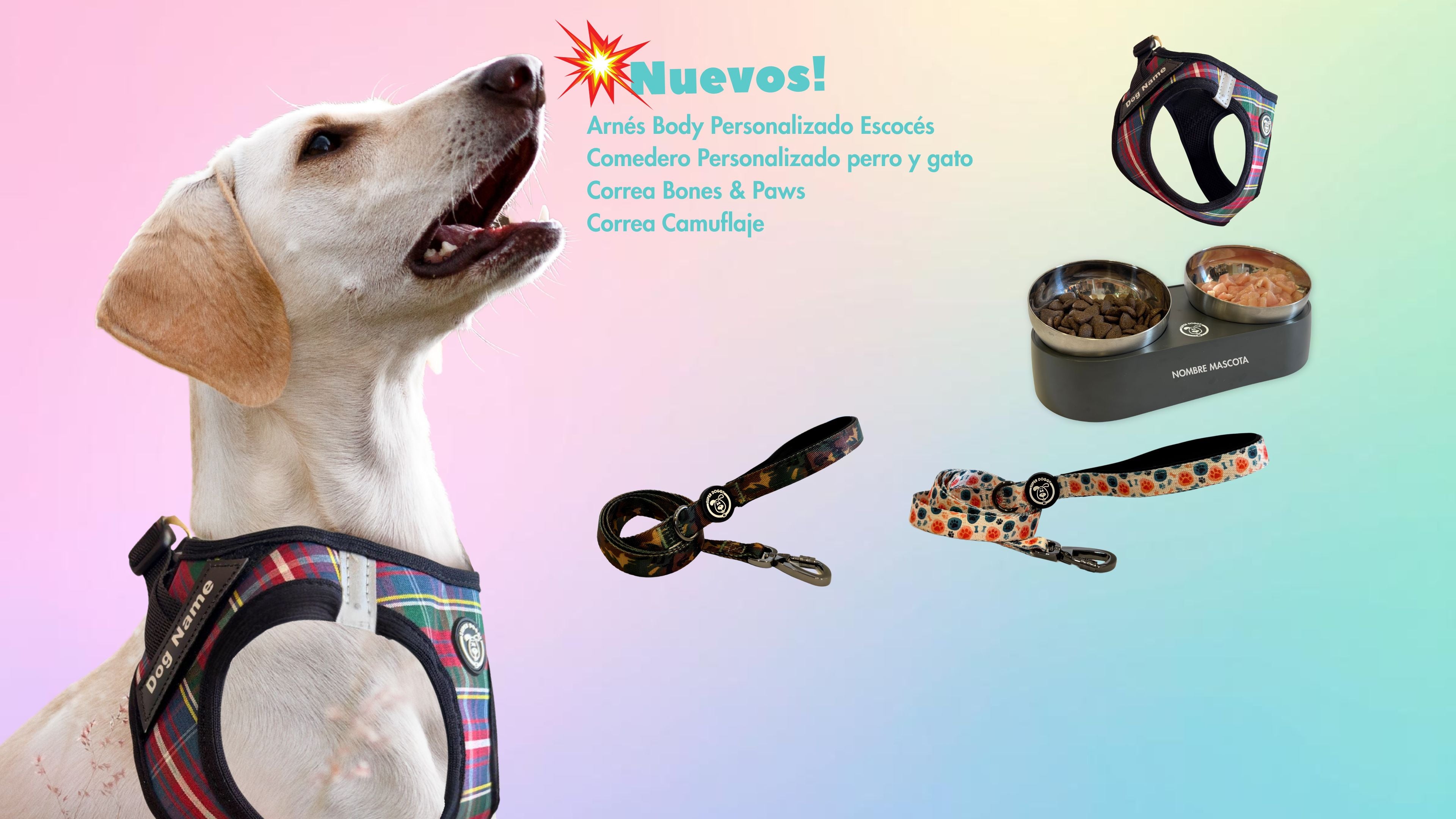 nuevos arneses, comederos, correas y accesorios personalizados para perros de Super Doggy