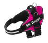 Arnés para perro color fucsia con correas negras, hebilla y asa, personalizado con texto.