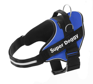 arneses, personalizados, pro, azul, blue, arnes, personalizado, perros, gatos, gato, accesorios, paseos, perro, super doggy