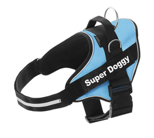 arneses, personalizados, pro, azul, turquesa, arnes, personalizado, perros, gatos, gato, accesorios, paseos, perro, super doggy