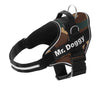 arneses, personalizados, pro, camuflaje, arnes, personalizado, perros, gatos, gato, accesorios, paseos, perro, super doggy