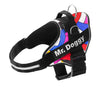 arneses, personalizados, pro, estampado, colores, arnes, personalizado, perros, gatos, gato, accesorios, paseos, perro, super doggy