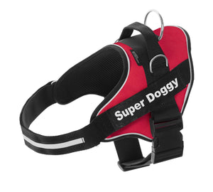 arneses, personalizados, pro, rojo, arnes, personalizado, perros, gatos, gato, accesorios, paseos, perro, super doggy